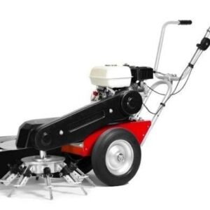 4F Limpar Wildkrautbürste Taifun - Kohler Motor