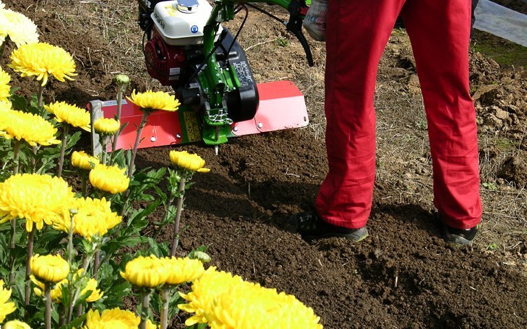 Agria Mehrzweck-Motorhacke 0100-R – Bild 7