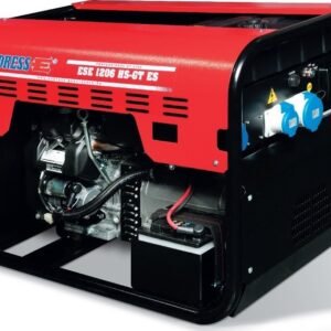 Endress Benzin-Stromerzeuger Professional GT Line ESE 1206 DHS-GT ES