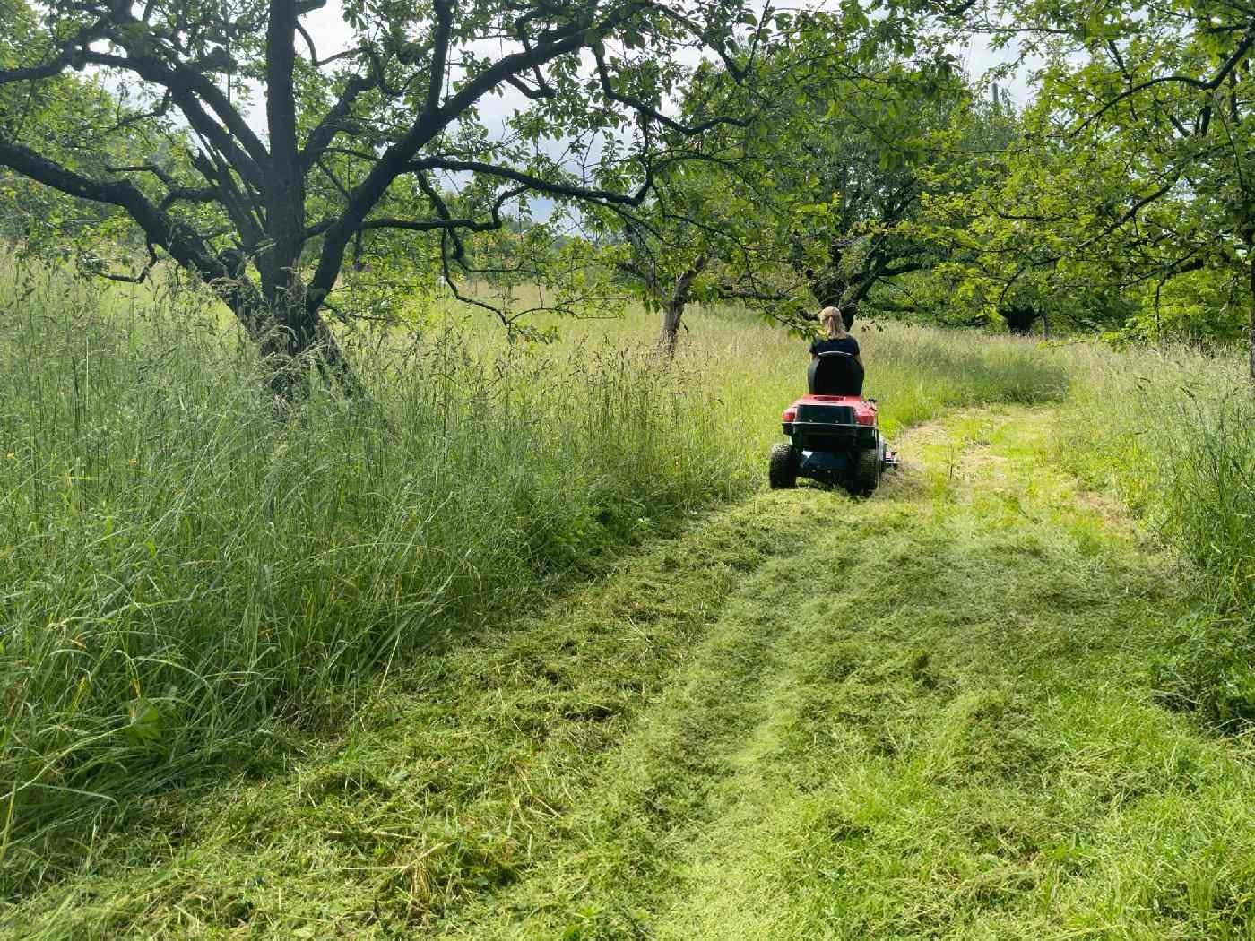 ERCO Frontmäher mit Allradantrieb FM-220-4WD Grundgerät mit Wiesendeck - Bundle - und Schneeräumschild 100cm – Bild 3