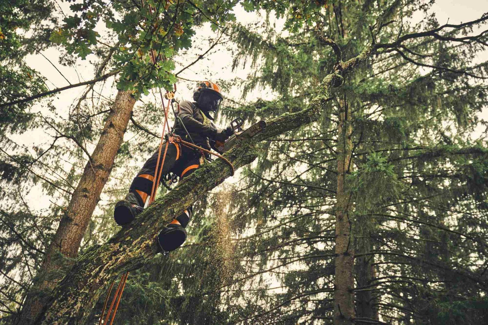 STIHL Akku-Baumpflegesäge MSA 220 T, PS3, Schienenlänge 35 cm - ohne Akku und Ladegerät – Bild 2