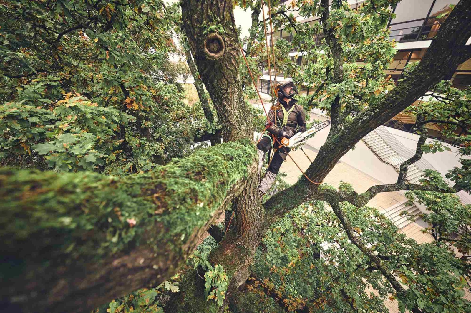 STIHL Akku-Baumpflegesäge MSA 220 T, PS3, Schienenlänge 35 cm - ohne Akku und Ladegerät – Bild 3