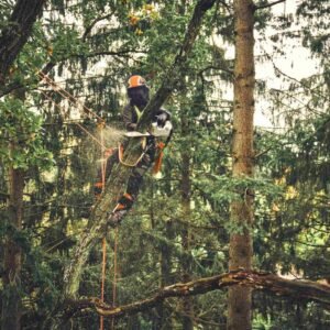 STIHL Akku-Baumpflegesäge MSA 220 T, PS3, Schienenlänge 35 cm - ohne Akku und Ladegerät