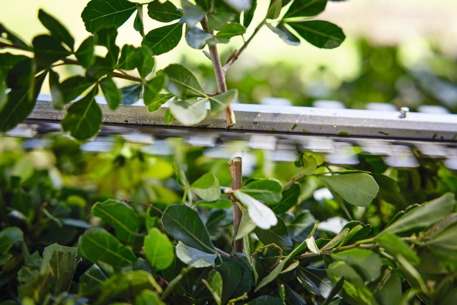 STIHL Akku-Heckenschere HSA 40 Set mit 2x Akku AS 2 und Ladegerät AL 1 – Bild 5