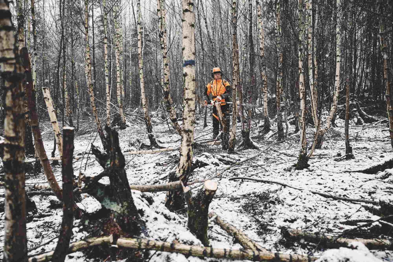 STIHL Akku-Hoch-Entaster HTA 150, ohne Akku und Ladegerät, Forstvariante – Bild 6