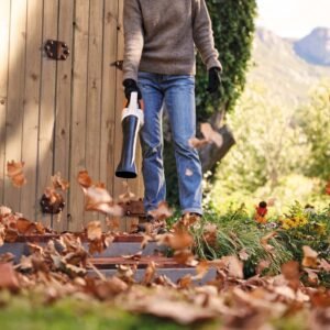 STIHL Akku-Laubbläser BGA 30, mit 2x Akku AS 2 und Ladegerät AL 1