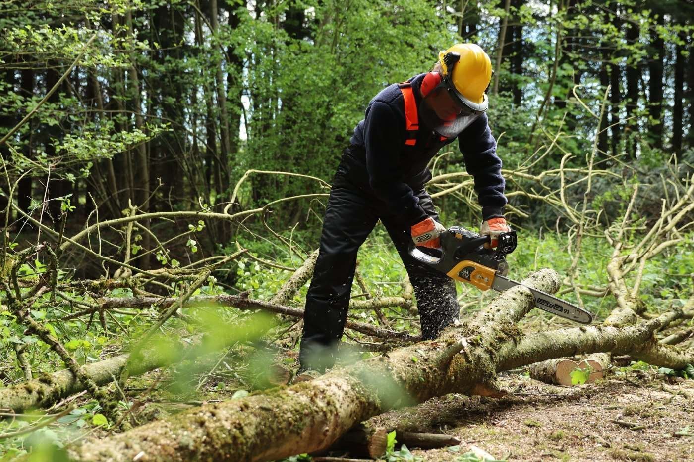Texas Akku-Motorsäge CSZ 5800 - ohne Akku und Ladegerät – Bild 5