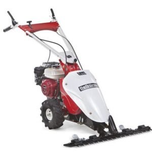 Tielbürger Balkenmäher t50 Briggs&Stratton