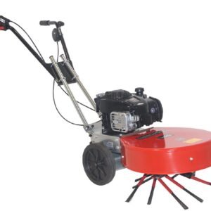 Tielbürger Wildkrautbürste hw50 B&S-Motor Exi