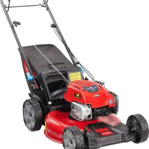 Toro Benzin-Rasenmäher mit Radantrieb S53VST